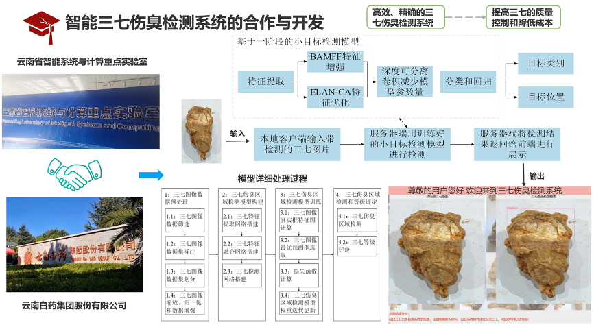 三七药材缺陷的智能检测系统