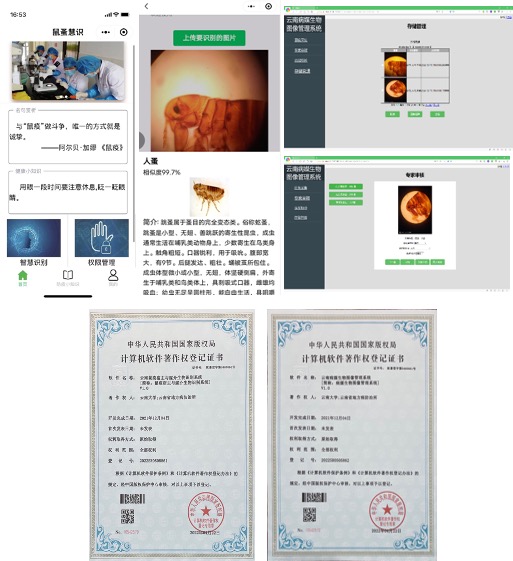 细粒度鼠疫宿主及疟原虫的智慧识别