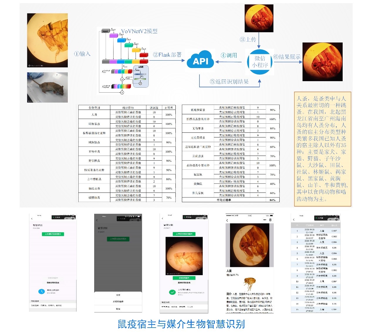 远程医疗辅助诊断与智慧康养1